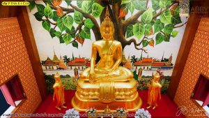 ภาพต้นโพธิ์วิววังมุมซูม