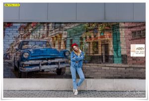 ภาพพิมพ์แต่งผนังลายเรโทร