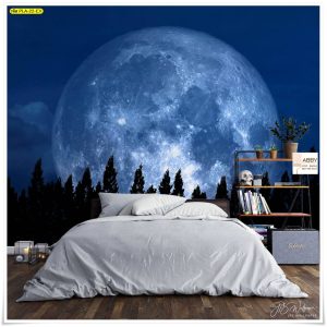 ภาพแคนวาสแต่งห้องลายดวงจันทร์