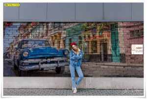 ภาพแคนวาสติดผนังลายรถ