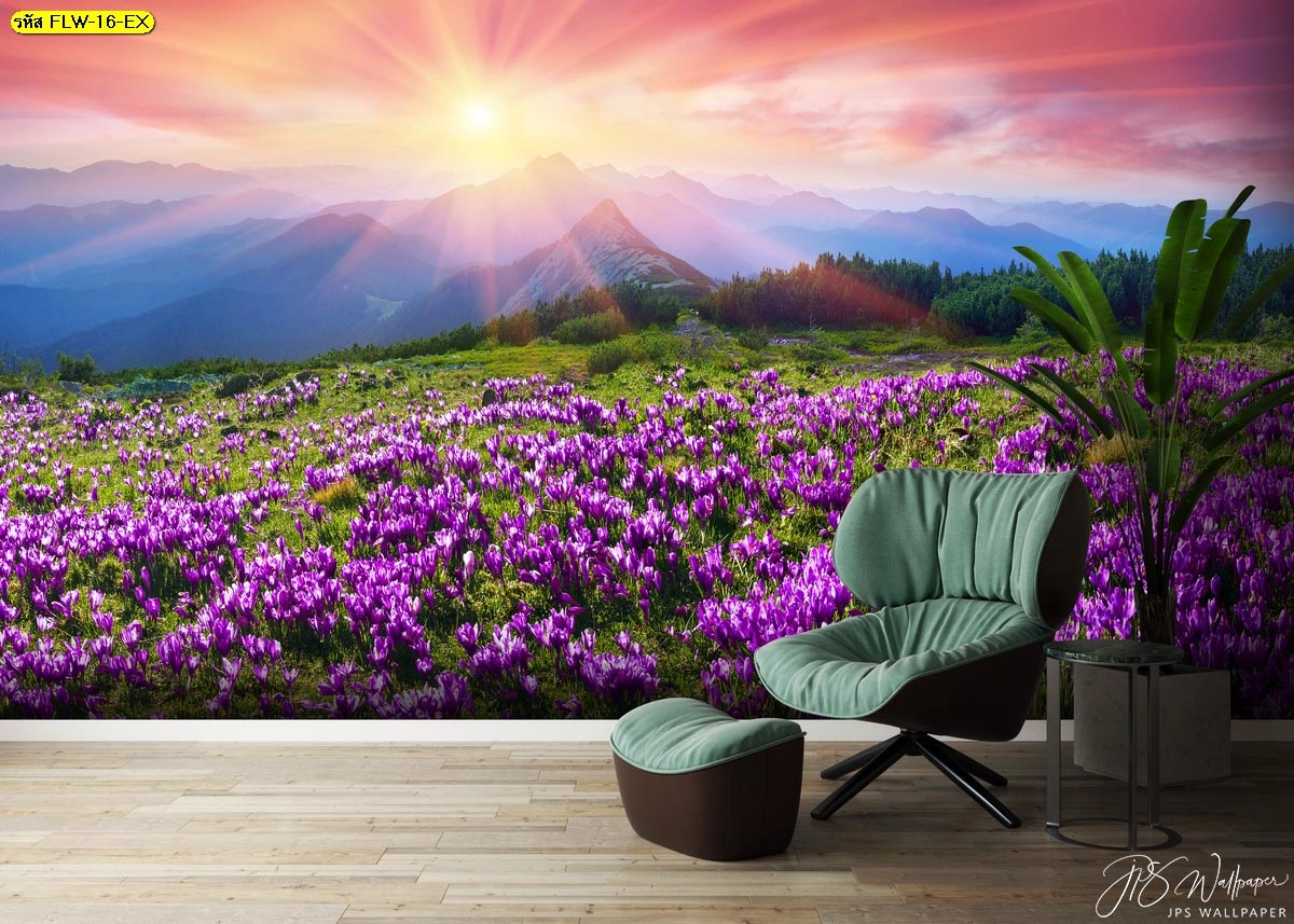 วอลเปเปอร์ภาพวิวภูเขาและทุ่งดอกไม้สีม่วงยามเช้าพร้อมแสงอาทิตย์ขึ้นเหมาะสำหรับตกแต่งห้องรับแขกสไตล์รีสอร์ทให้ดูสดชื่น